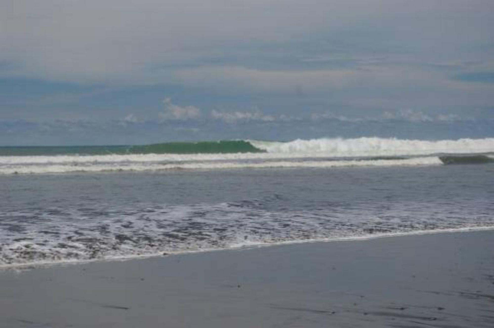 Wipeout Hostel Jaco Bagian luar foto